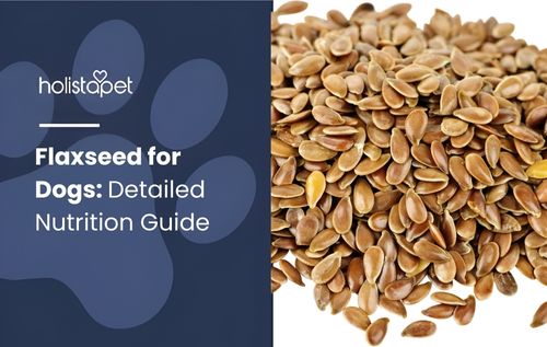 Close-up of brown bowtie pasta with flaxseed for dogs, highlighting healthy ingredients used in homemade dog food and pet nutrition.