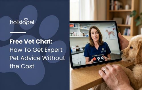 A person holds a tablet with a veterinarian on a video call while a dog looks at the screen.