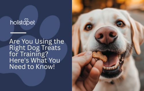 Are You Using the Right Dog Treats for Training? Here's What You Need to Know!
