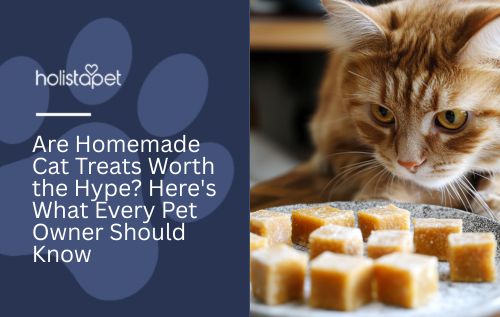 Are Homemade Cat Treats Worth the Hype? Here's What Every Pet Owner Should Know
