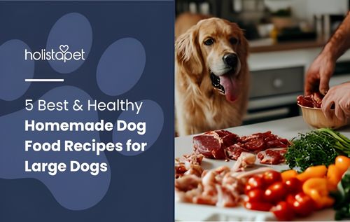 A golden retriever dog watches as a person prepares chopped ingredients, including peppers, parsley, and raw meat, on a kitchen counter for healthy homemade dog food recipes for large dogs.