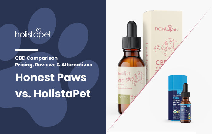 Honest Paws vs HolistaPet: 2026 CBD Comparison – Pricing, Reviews & Alternatives