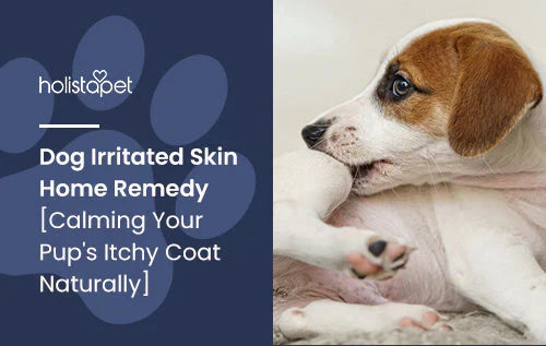 Dog irritated skin home remedy