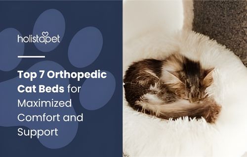 A close-up, sepia-toned view of a small, furry creature curled up asleep on a bed of white material, featuring orthopedic cat beds.