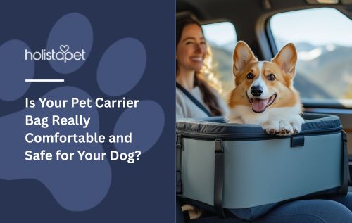 Is Your Pet Carrier Bag Really Comfortable and Safe for Your Dog?