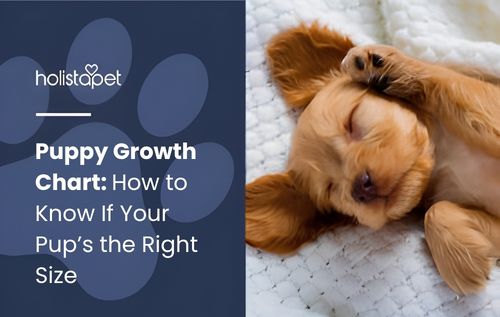 A light brown puppy lies on its back on a white textured blanket, with its eyes closed and one paw resting on its face.