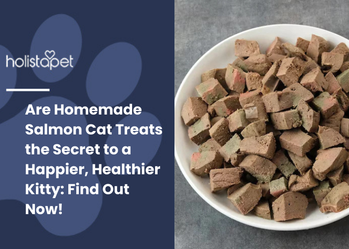 salmon cat treats in a bowl