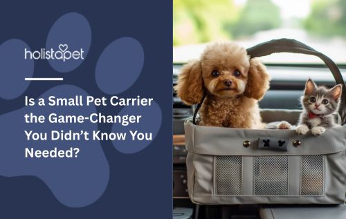 Is a Small Pet Carrier the Game-Changer You Didn’t Know You Needed?