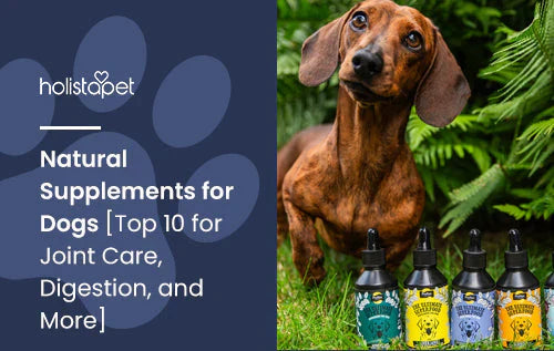 List of natural supplements that are good for your dogs