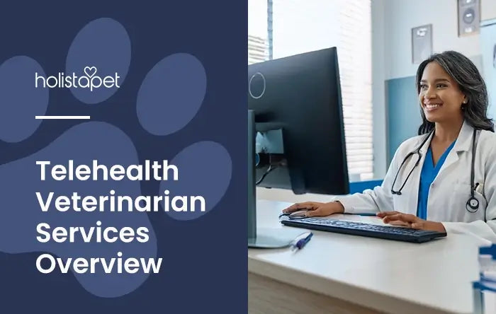 Telehealth Vet Services Featured Blog Image by Holistapet. Shows a female veterinarian chatting online with a pet owner.