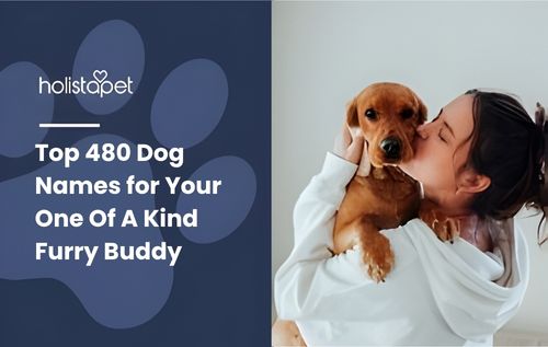 A person wearing a white sweater holds a small brown puppy and kisses its cheek, creating a heartwarming moment perfect for a list of the top 480 dog names.