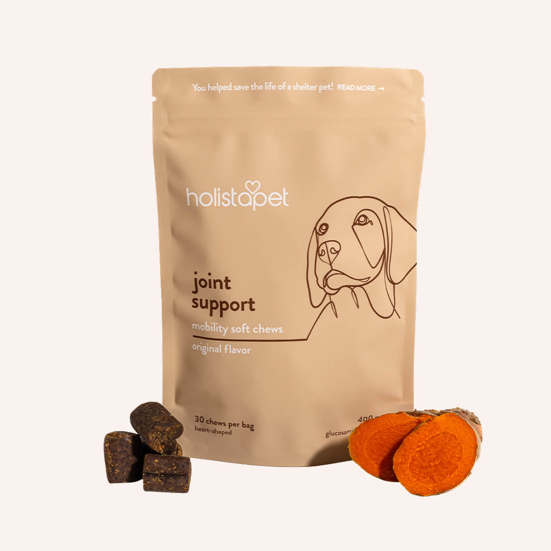 Package of HolistaPet melatonin calming dog chews with scattered treats.