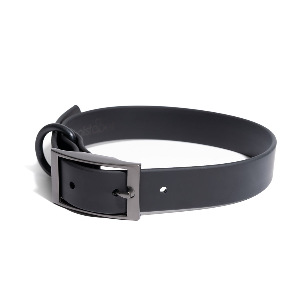 Dog Collars - HolistaPet