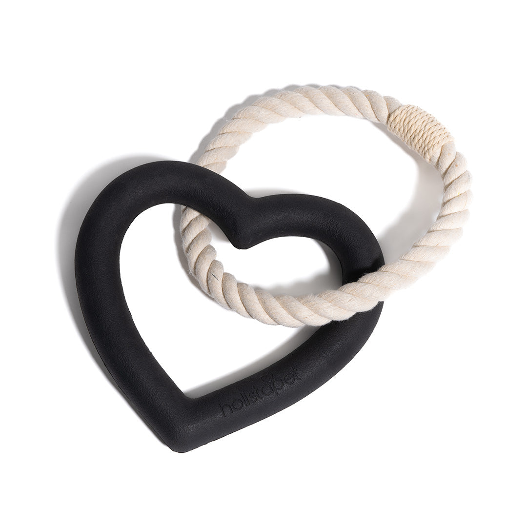 Dog Toys - HolistaPet