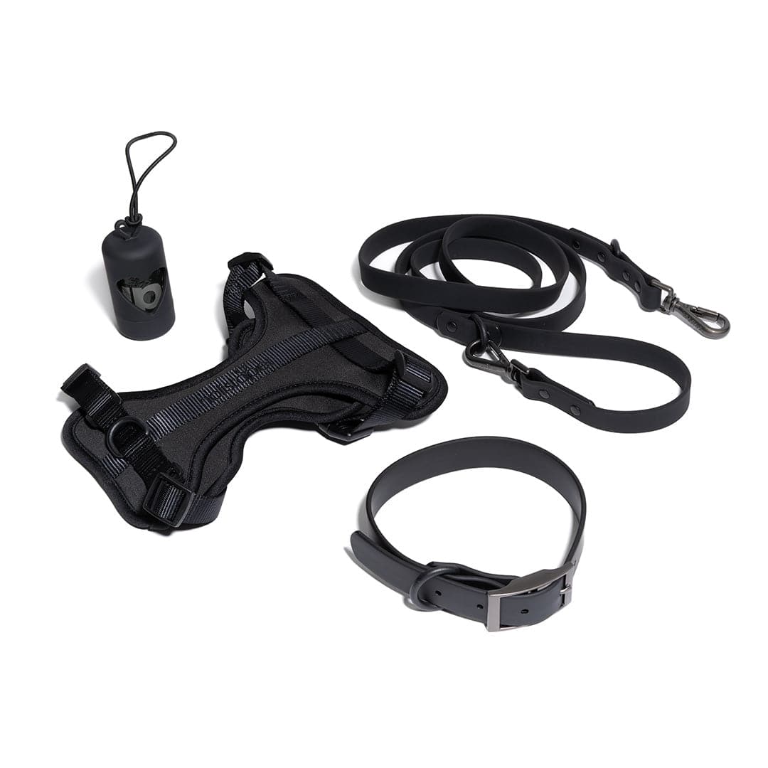 "Walk It Out Bundle" - HolistaPet