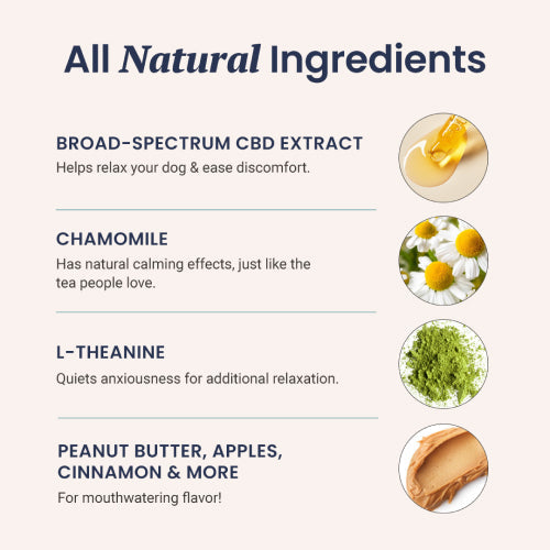 CBD Dog Treats for Anxiety