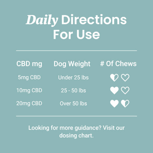 CBD Dog Treats for Anxiety