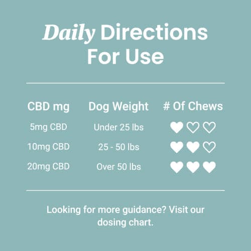CBD Calming Chews for Dogs