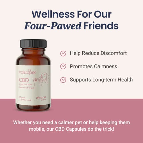 CBD Capsules for Dogs and Cats