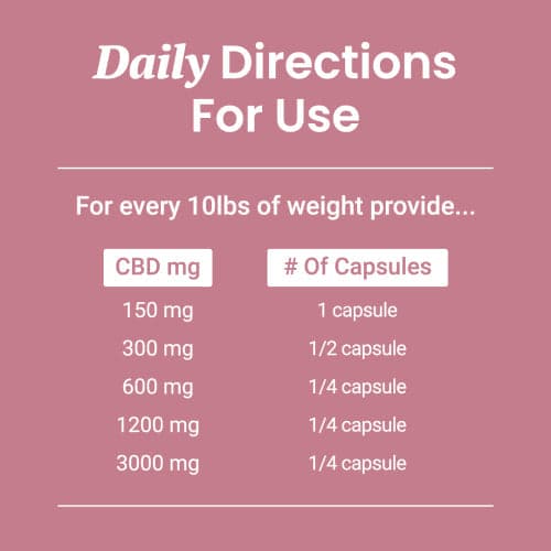 CBD Capsules for Dogs and Cats - HolistaPet
