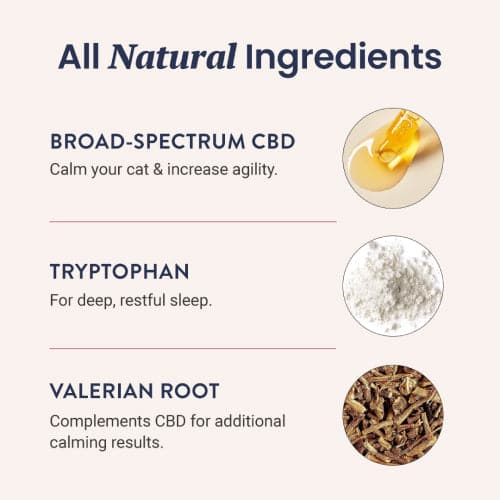 CBD Calming Chews for Cats