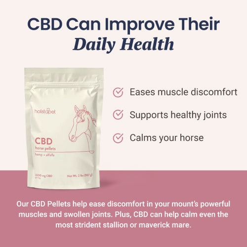 CBD Pellets for Horses - HolistaPet