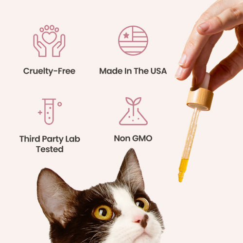 Chicken Flavored CBD Oil for Cats