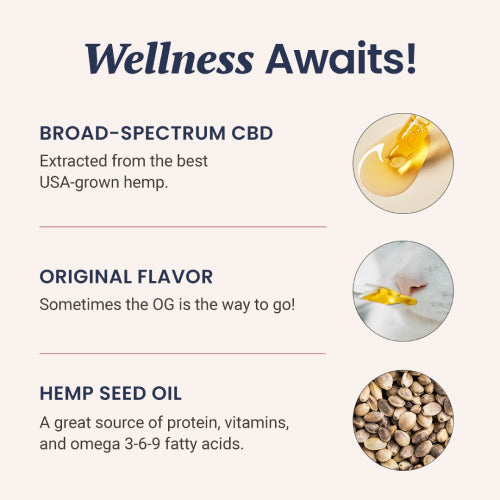 CBD Oil for Cats