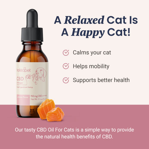 Salmon Flavored CBD Oil For Cats - HolistaPet