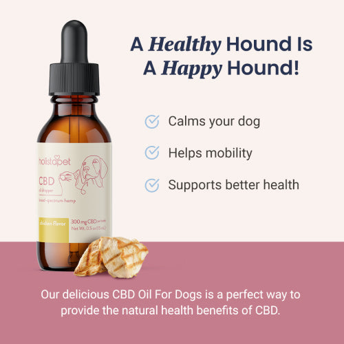 Chicken Flavored CBD Oil For Dogs