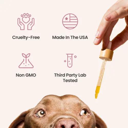 CBD Oil for Dogs - Holistapet