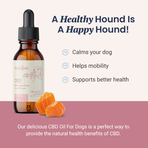 Salmon Flavored CBD Oil For Dogs - HolistaPet