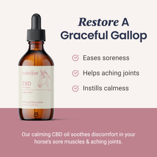 CBD Oil for Horses - HolistaPet