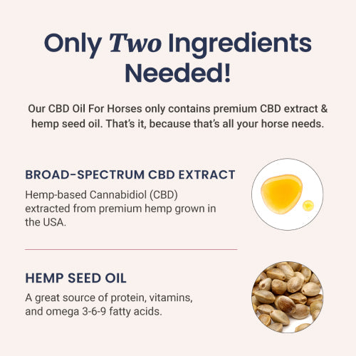 CBD Oil for Horses - HolistaPet