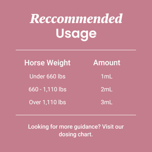 CBD Oil for Horses