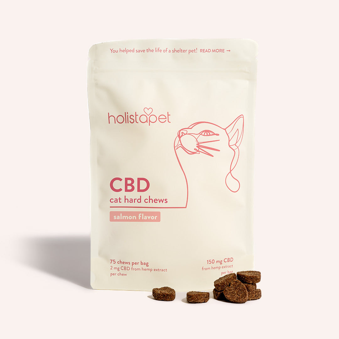 HolistaPet CBD cat treats in salmon-flavored hard chews with infographic packaging, designed for feline health and wellness.