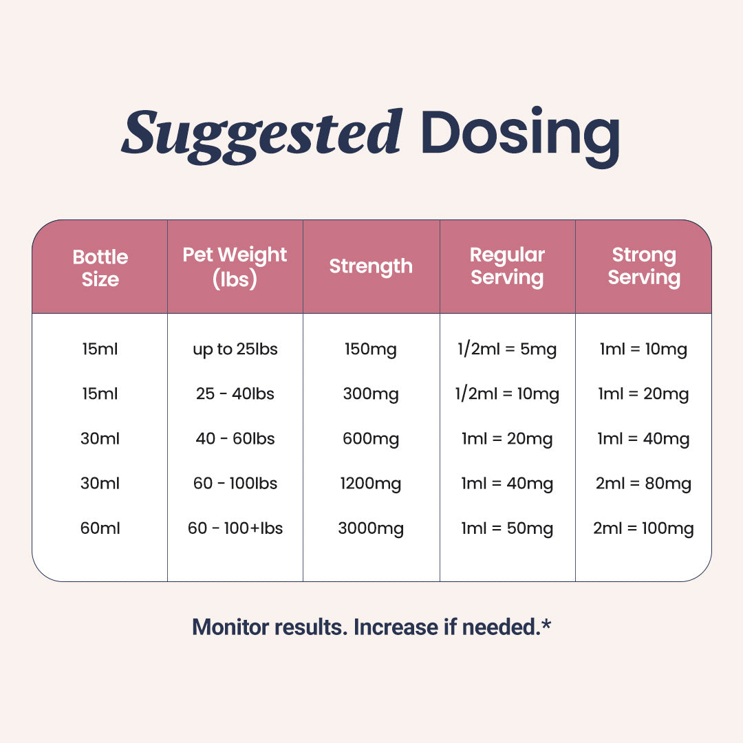 HolistaPet CBD oil for dogs in a dropper bottle, featuring an infographic about benefits and usage for pet health.