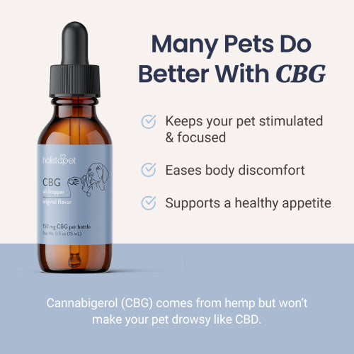 CBG Oil for Dogs and Cats