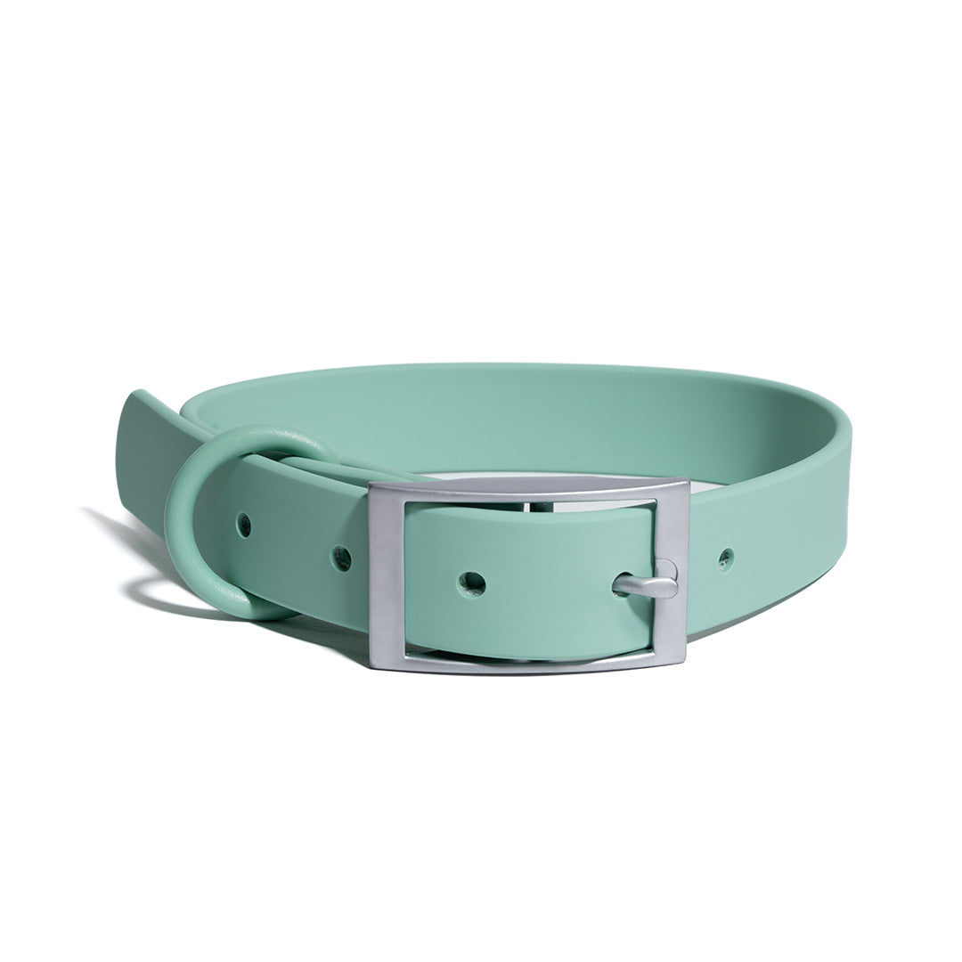 Dog Collars - HolistaPet