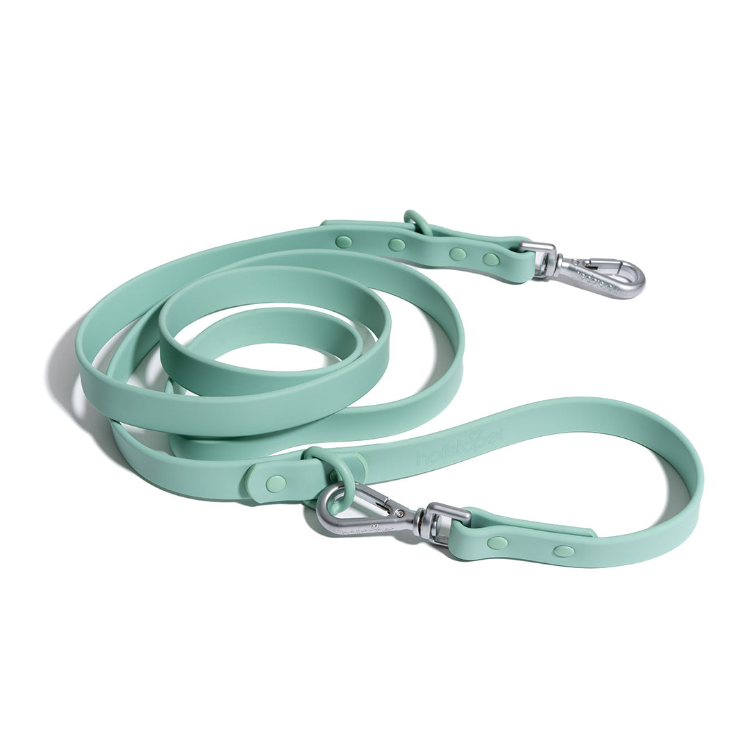 Dog Leashes