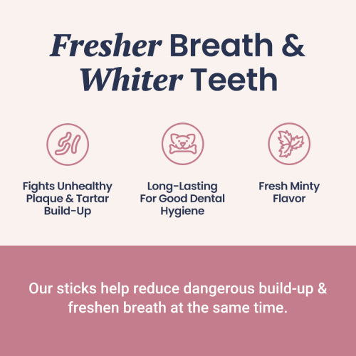 Dental Support + Fresh Breath Dental Sticks for Dogs - HolistaPet