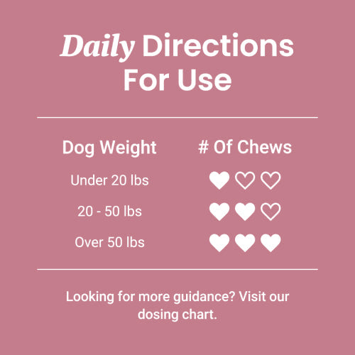 Fresh Breath Soft Chews for Dogs - HolistaPet
