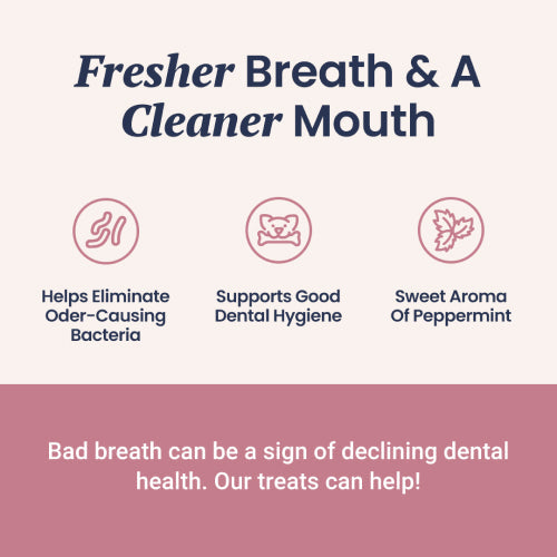 Fresh Breath Soft Chews for Dogs - HolistaPet