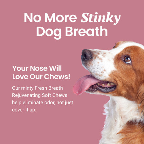 Fresh Breath Soft Chews for Dogs