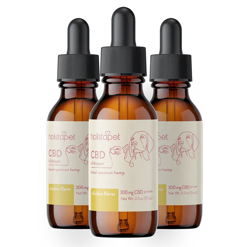 Chicken Flavored CBD Oil For Dogs - HolistaPet