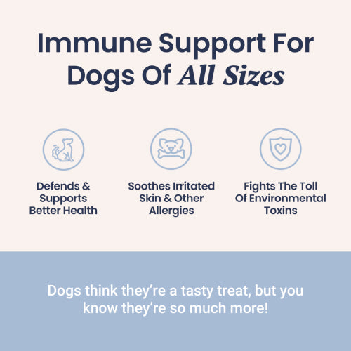 Immune Support + Functional Mushroom Soft Chews for Dogs - HolistaPet