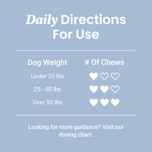 Immune Support + Functional Mushroom Soft Chews for Dogs - HolistaPet