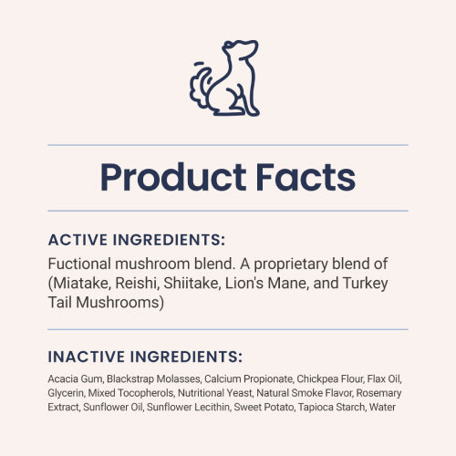 Immune Support + Functional Mushroom Soft Chews for Dogs - HolistaPet