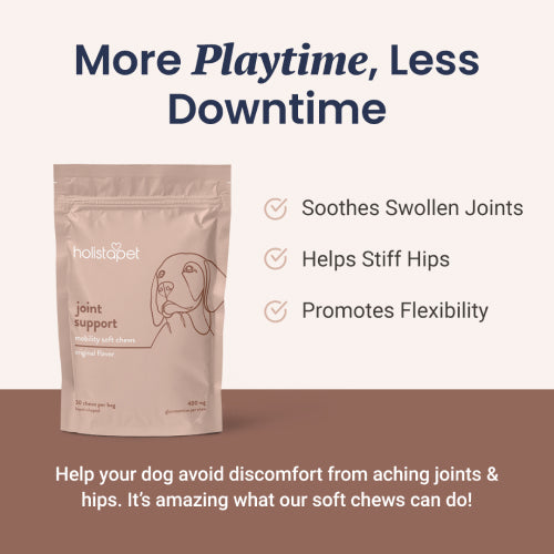 Soft brown chews with text indicating they are small and easy to chew.