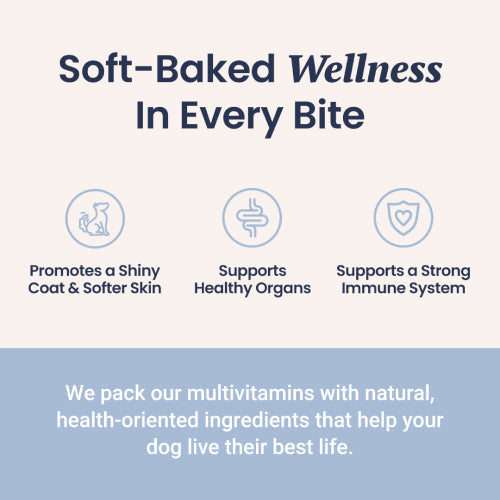 Multivitamin Soft Chews For Dogs - HolistaPet